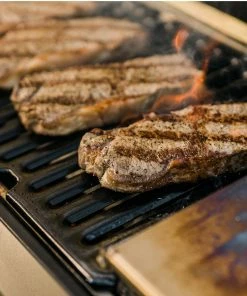 Masterbuilt Portable Charcoal Grill And Smoker